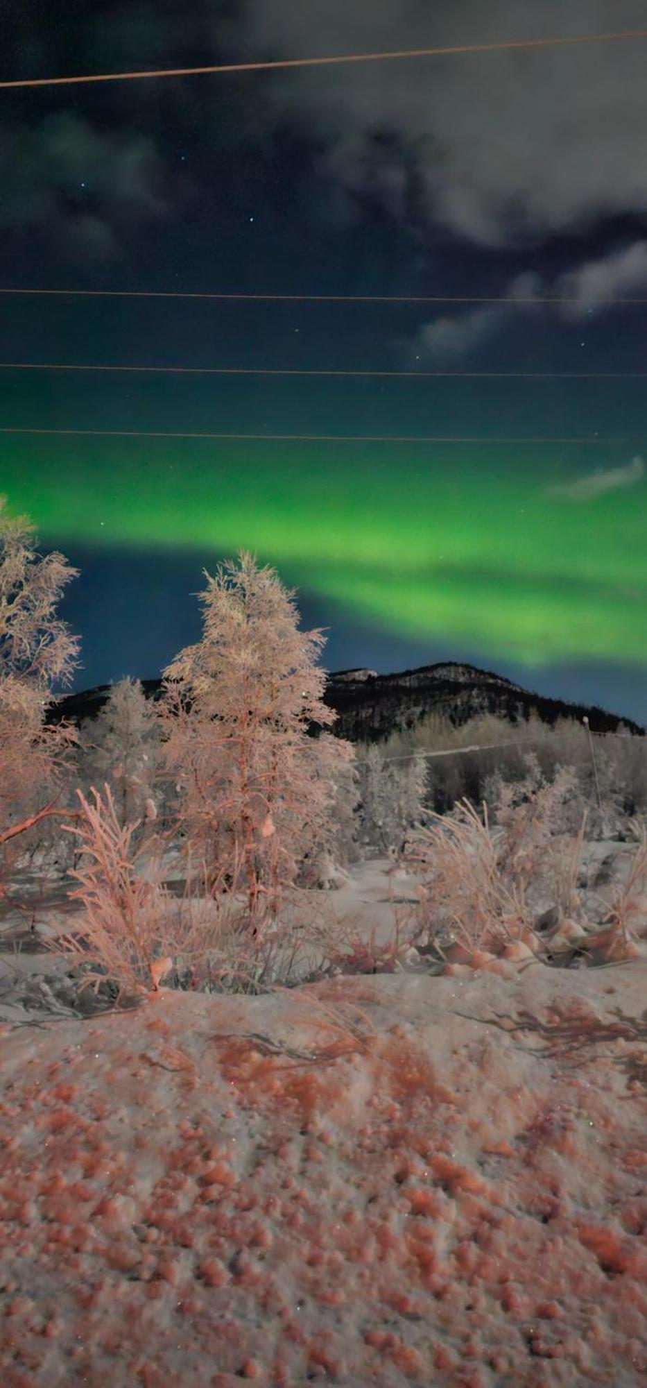 Elvestua Villa Gibostad Bagian luar foto