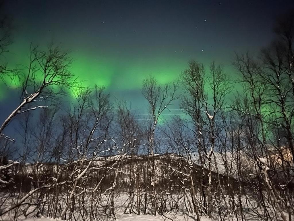 Elvestua Villa Gibostad Bagian luar foto