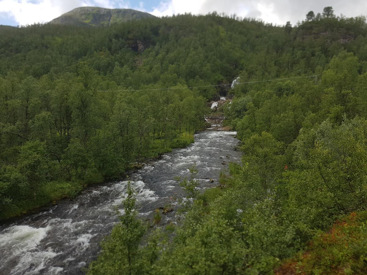 Elvestua Villa Gibostad Bagian luar foto