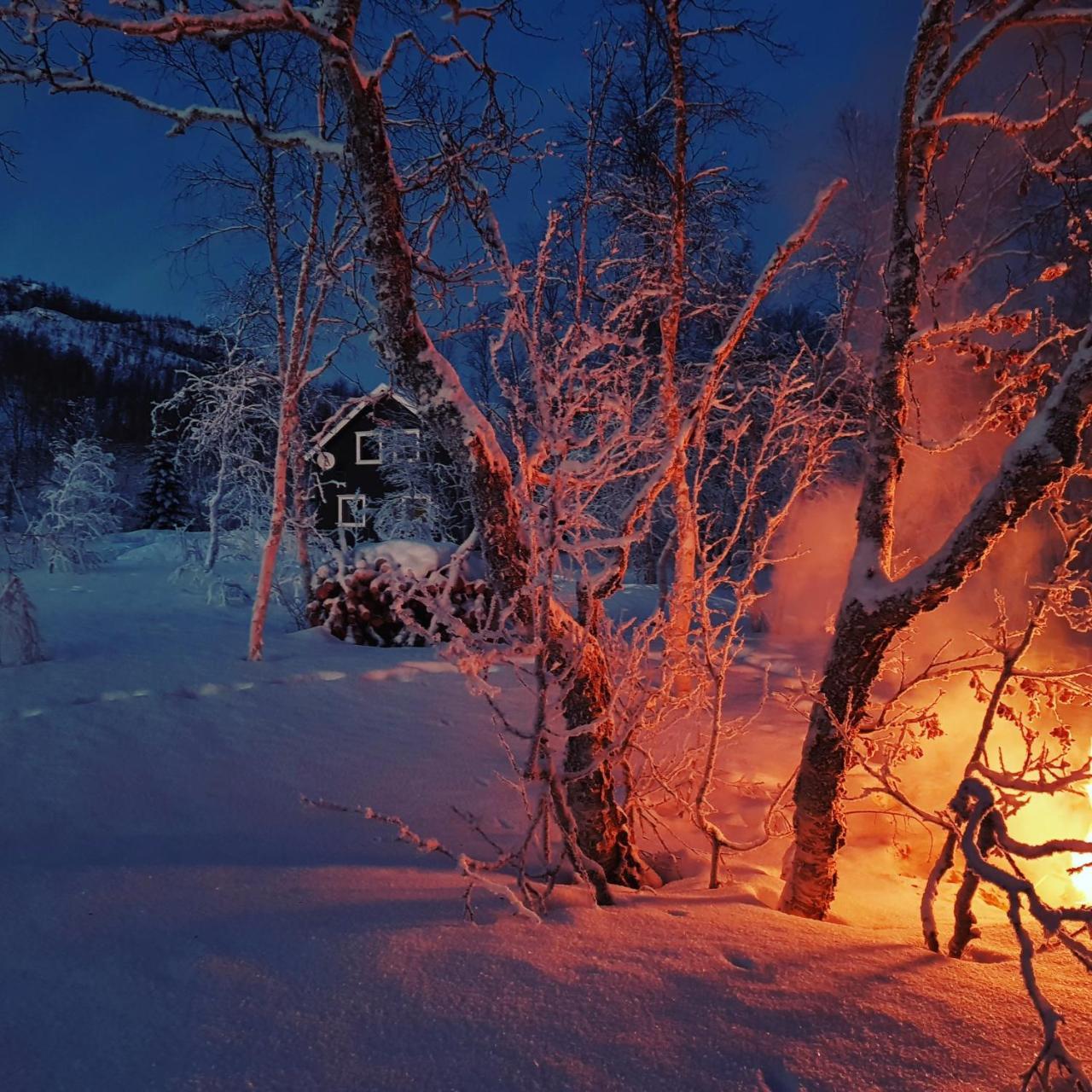 Elvestua Villa Gibostad Bagian luar foto