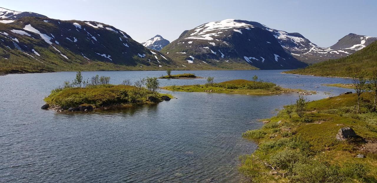 Elvestua Villa Gibostad Bagian luar foto