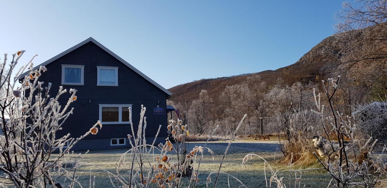 Elvestua Villa Gibostad Bagian luar foto